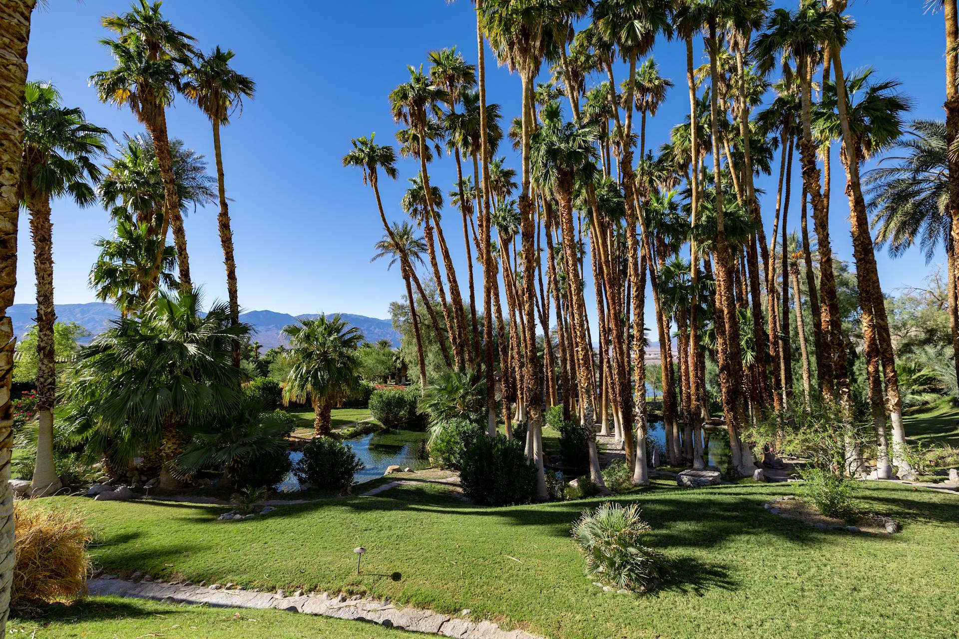 gardens