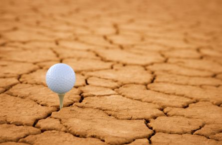 Golf ball
