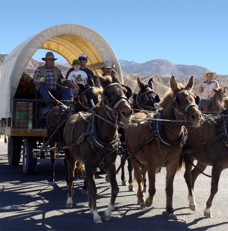 Mules and Borax: A Death Valley Legacy