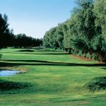 The lush greens of the Furnace Creek Golf Course.