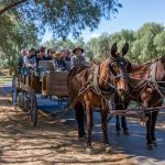 Horse Carriage with passengers