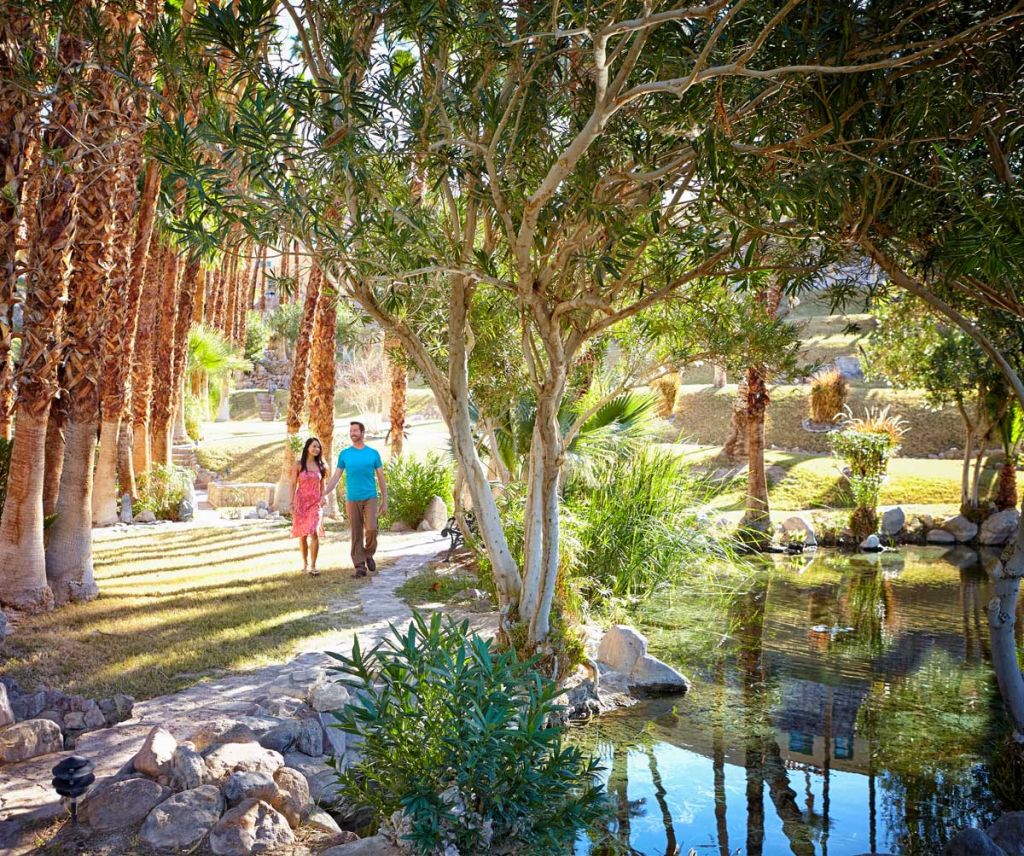 A couple walk hand in hand down a palm-tree lined path.