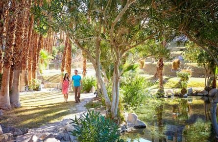 A couple walk hand in hand down a palm-tree lined path.