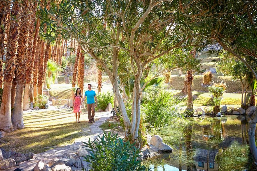 A couple walk hand in hand down a palm-tree lined path.
