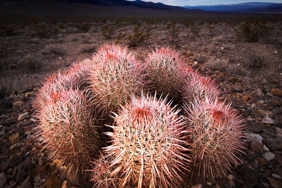 Death Valley