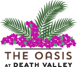 Oasis