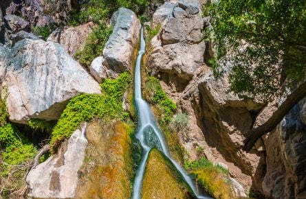 Darwin Falls