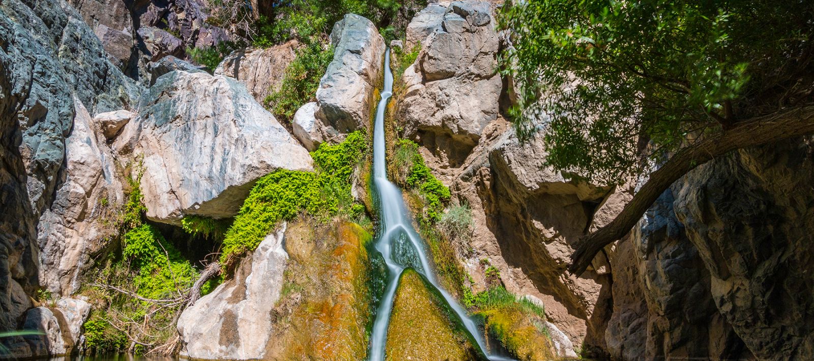 Darwin Falls