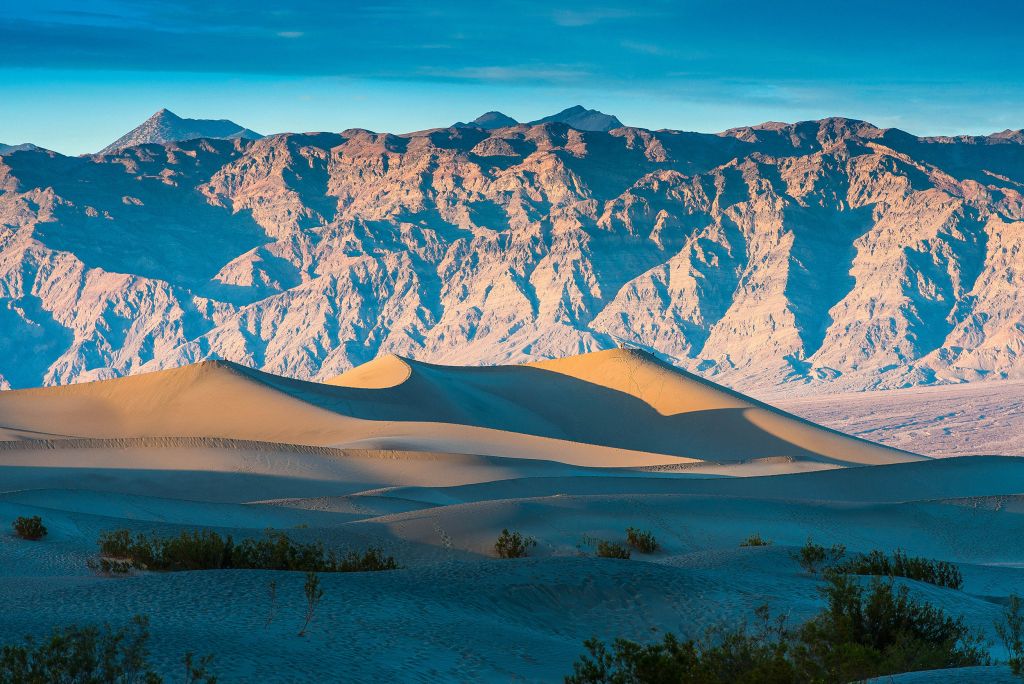 Mesquite Dunes