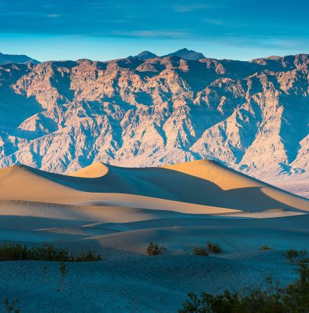 Mesquite Dunes