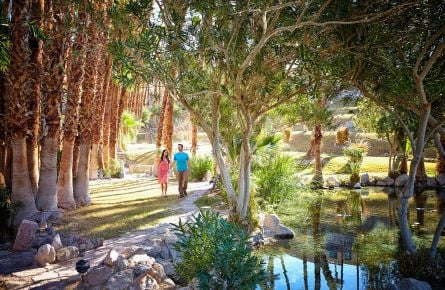 Couple walking through palm gardens