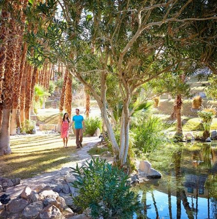 Couple walking through palm gardens