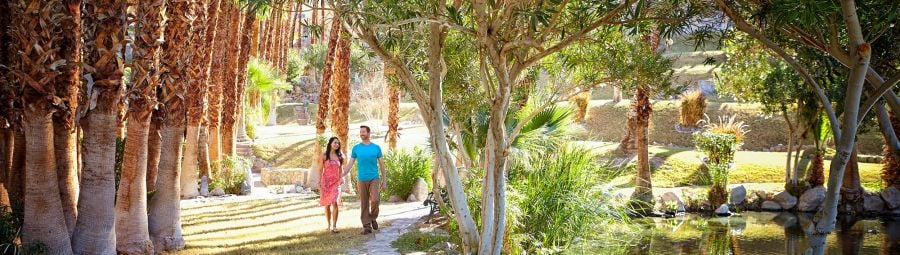 Couple walking through palm gardens
