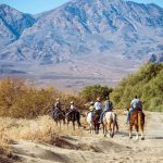 Horseback riding at Oasis