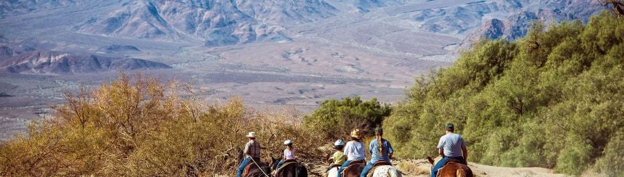 Horseback riding at Oasis