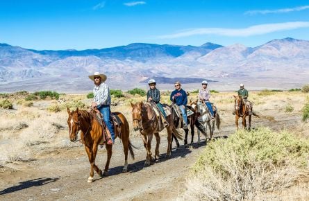 horseback riding