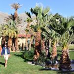 The Pond by the Casitas at the Inn