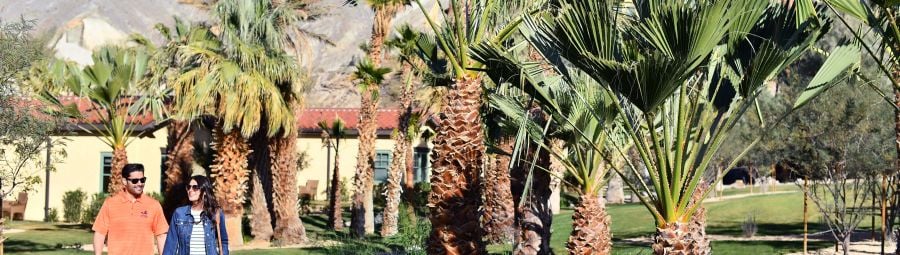 The Pond by the Casitas at the Inn