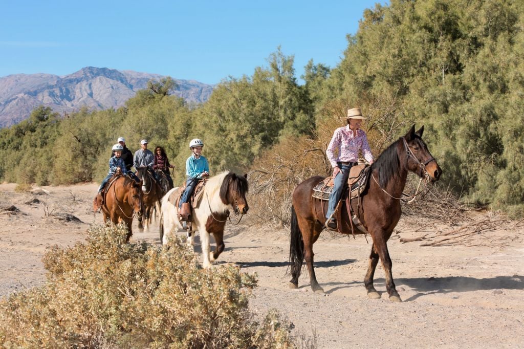 Horseback Ride