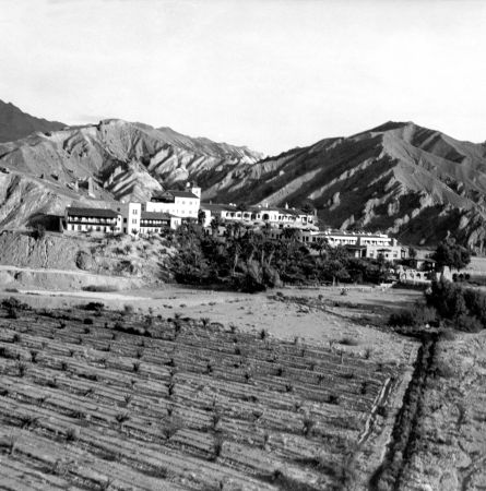 Dates in Death Valley